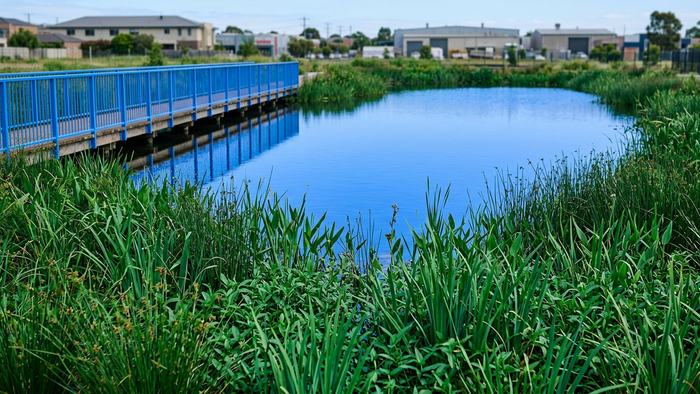 Constructed wetland cell with planted vegetation and visible water surface in an urban or peri-urban setting