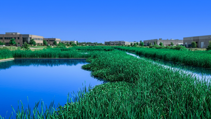 Ground-level view of constructed wetlands with green vegetation alongside water treatment basins near industrial or campus buildings