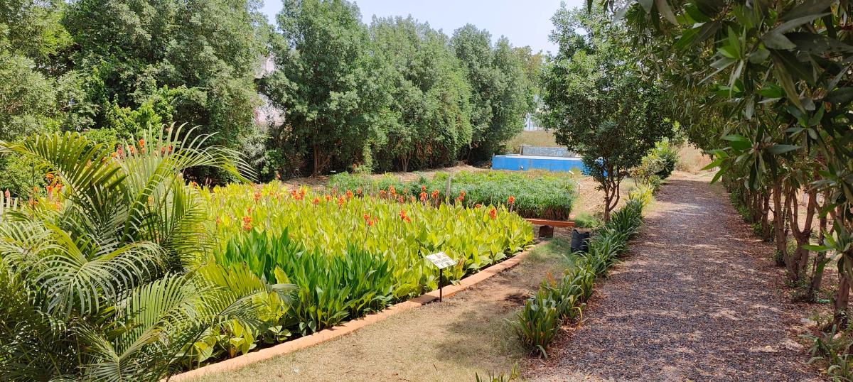 Western Railway, Ahmedabad