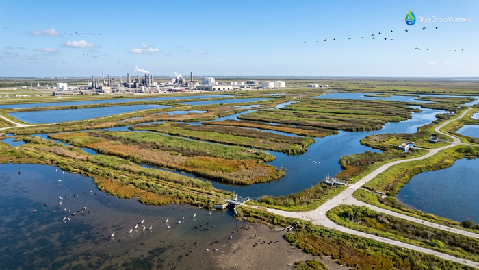 Aerial view of Dow Chemical's 110-acre Seadrift constructed wetland wastewater treatment facility showing treatment cells, diverse vegetation, water channels, and migratory birds with industrial facility in background