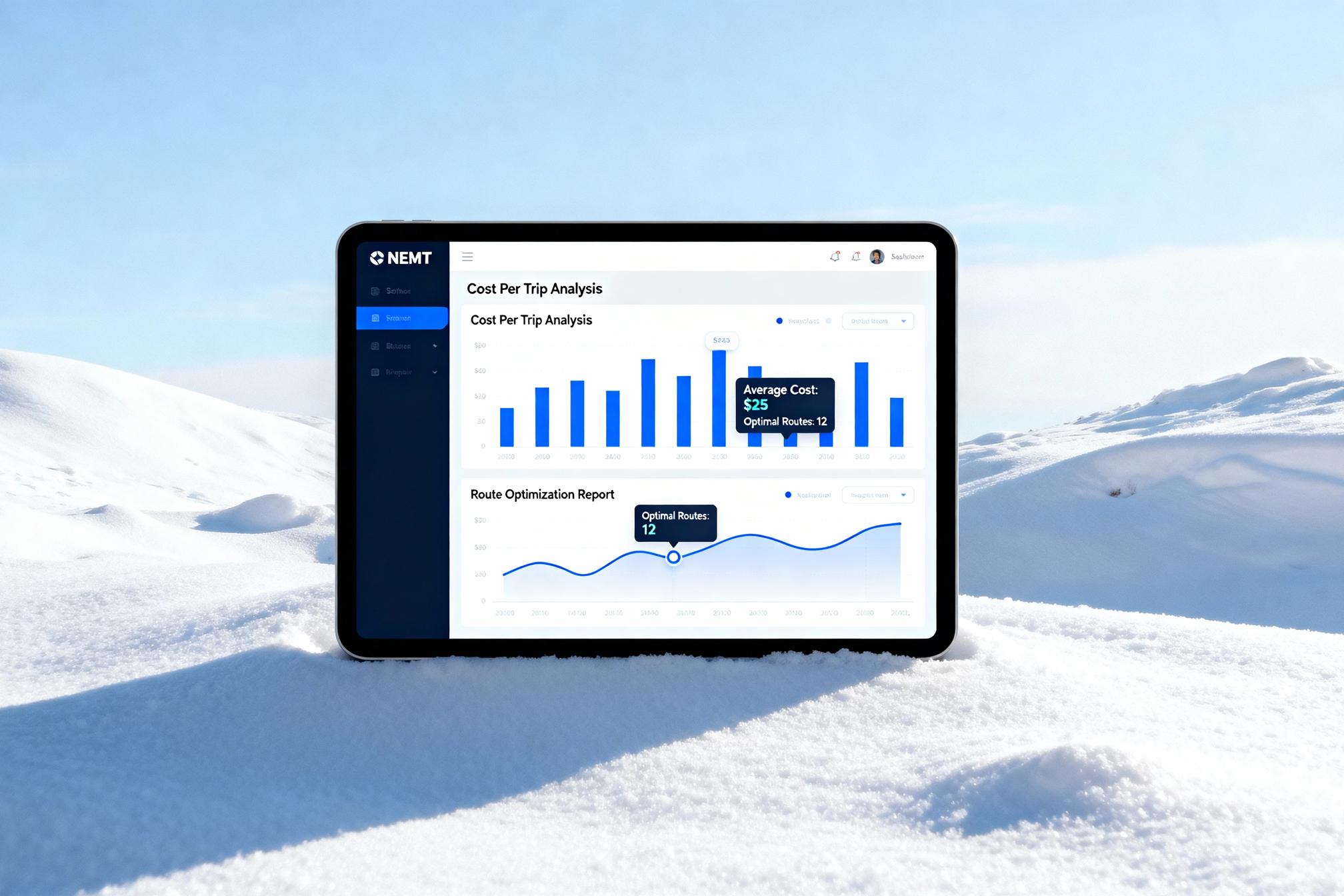 Cost per trip and route optimisation report displayed on NEMT software interface