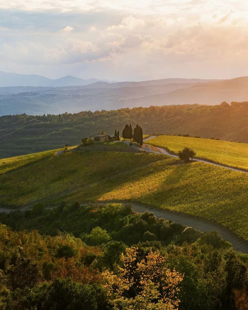 rosewood castiglion del bosco official 1