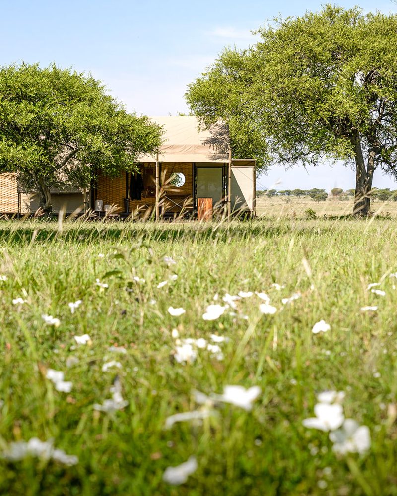 singita sabora web 13