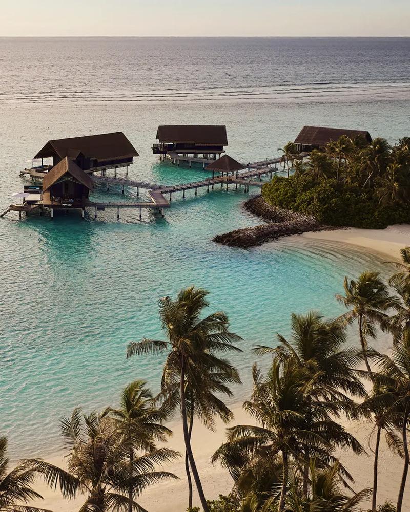 oneonly reethi rah official 1
