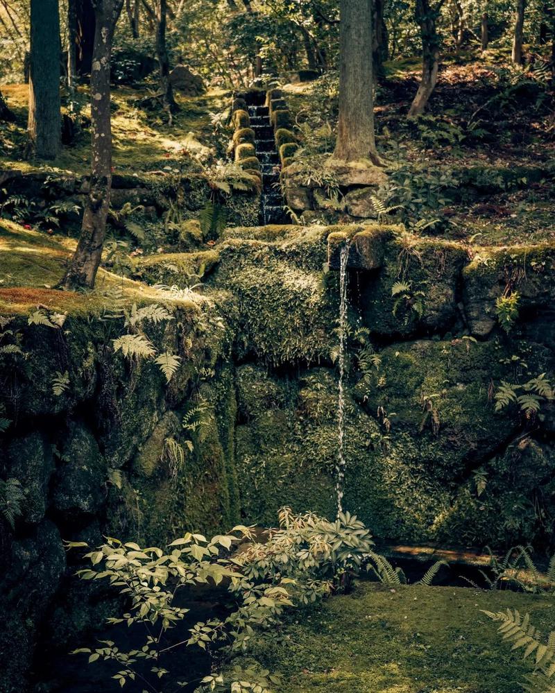 Aman Kyoto — the setting