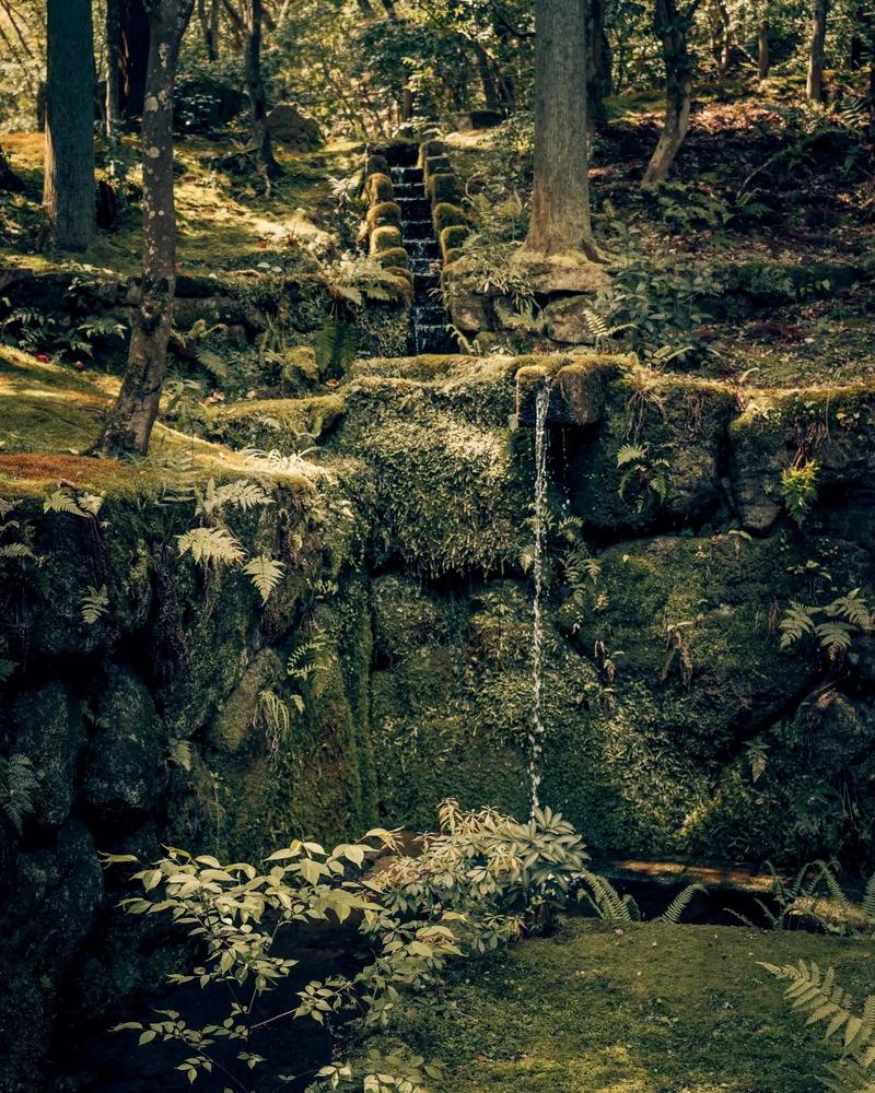 Aman Kyoto — the setting