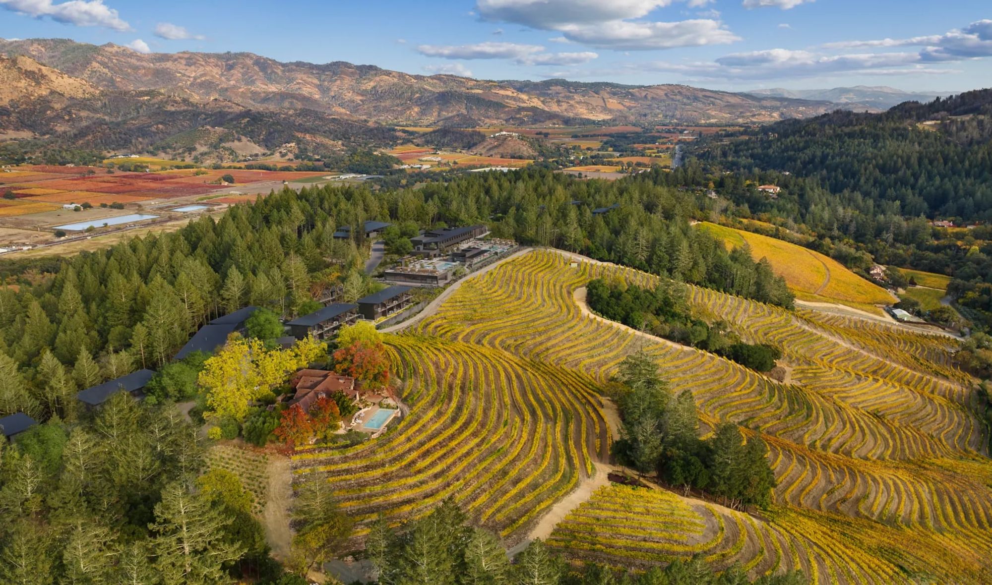 Rosewood Calistoga