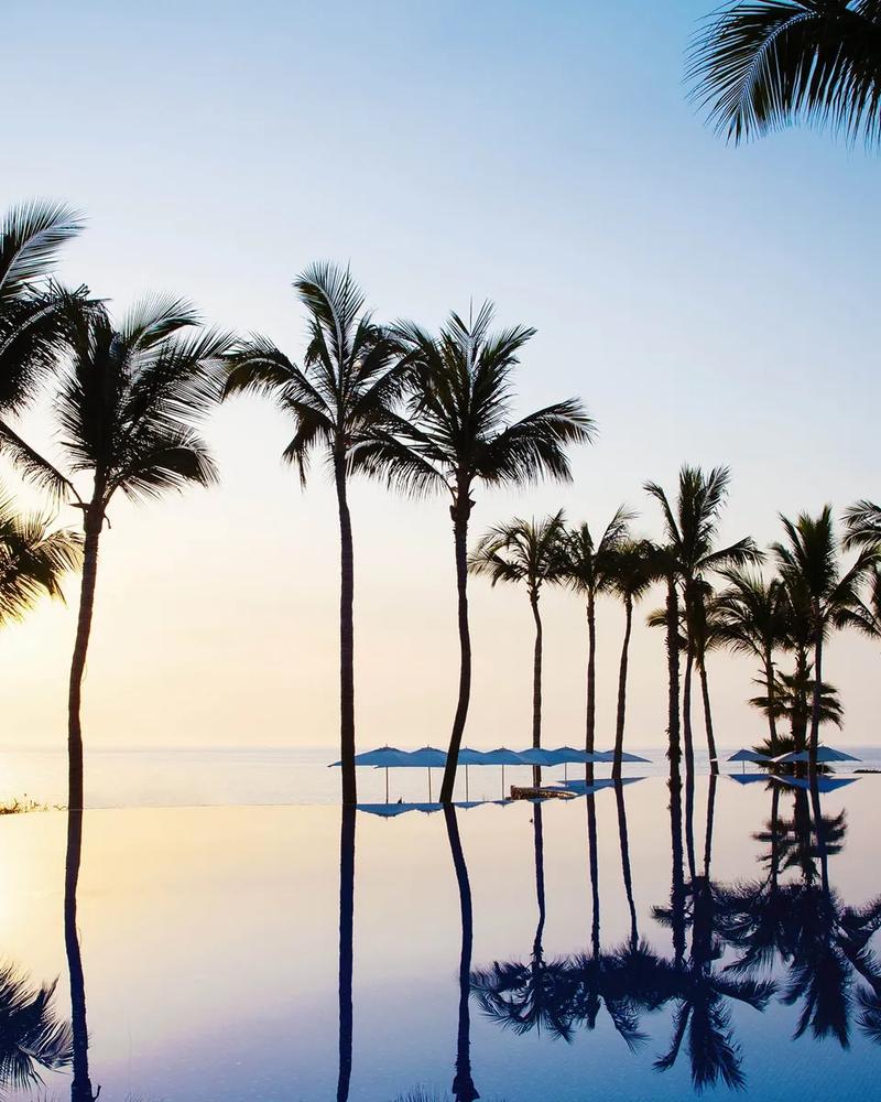 oneonly palmilla official 1
