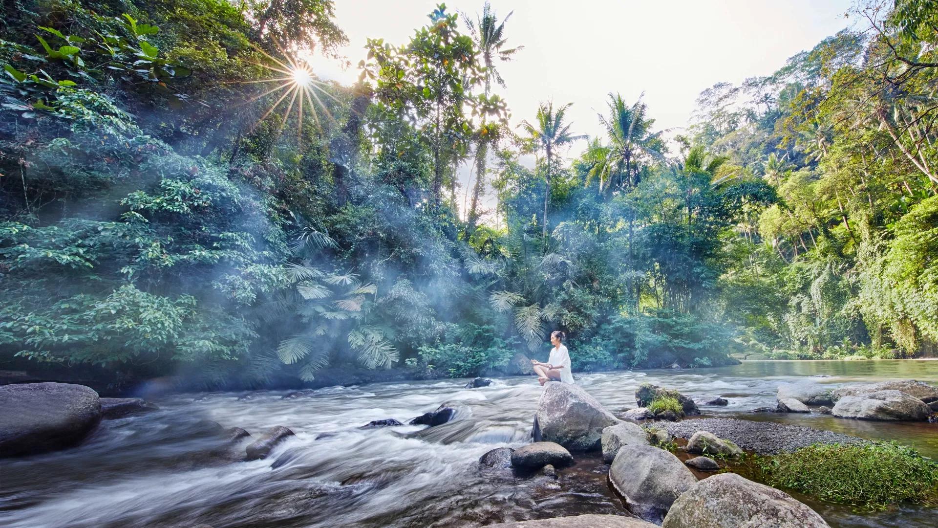 Riverside forest setting near COMO Shambhala Estate in the Ubud valley