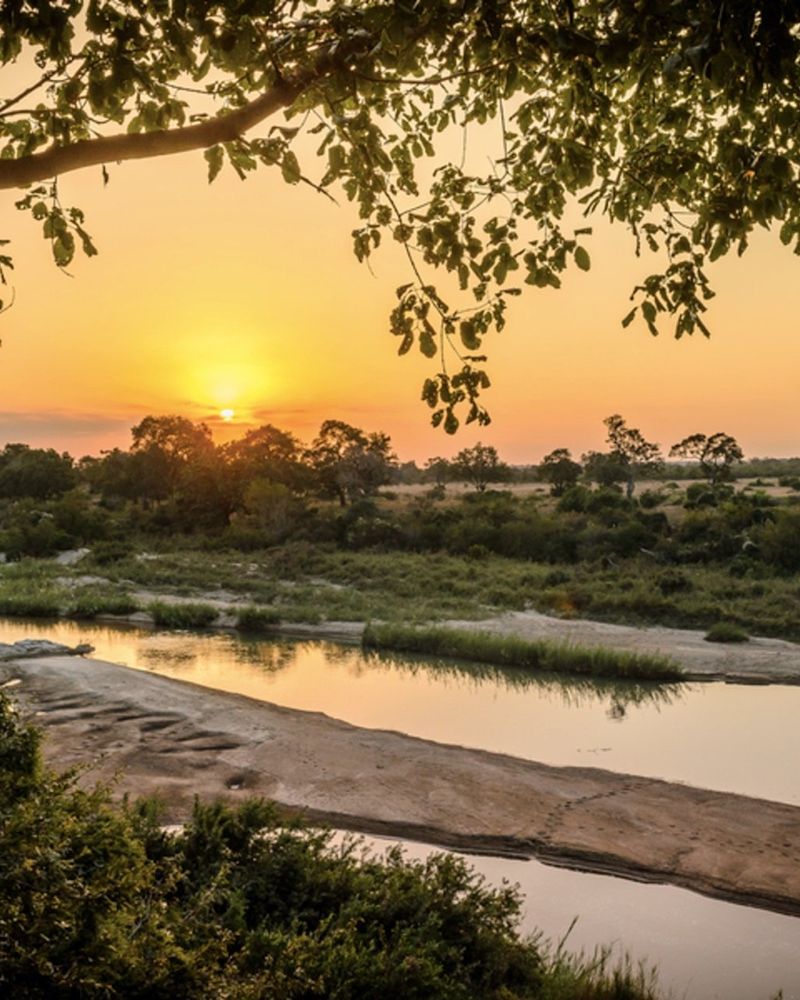 singita boulders lodge official 1