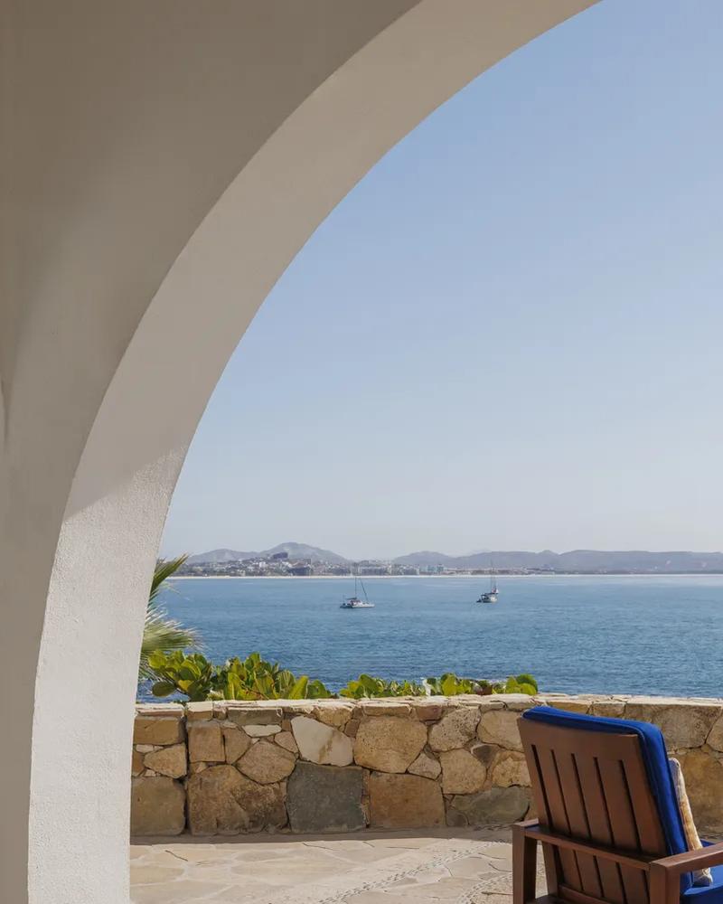 oneonly palmilla official 2