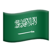 MIDDLE EAST flag
