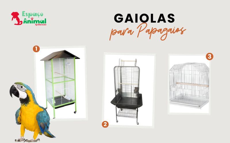 infográfico sobre gaiolas para pássaros, com modelos de gaiolas para papagaios