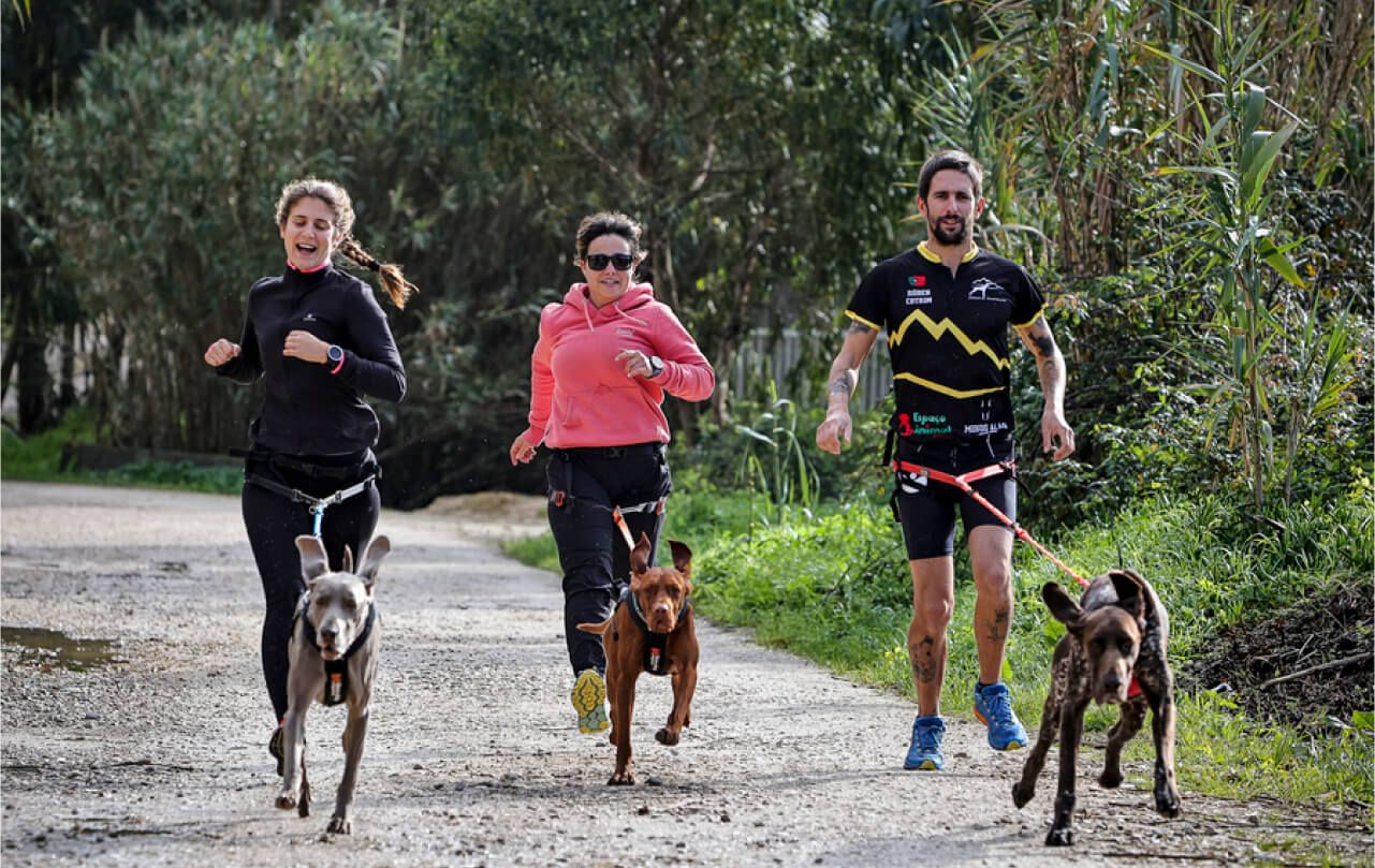 Espaço Animal