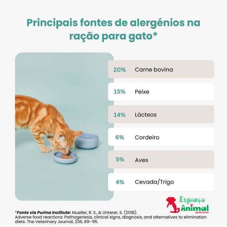 infográfico sobre as principais fontes de alergénios na ração dos gatos