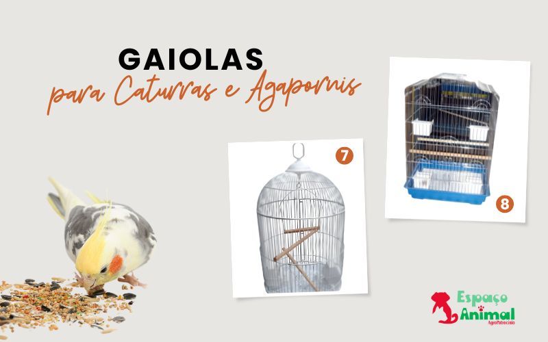 infográfico sobre gaiolas para pássaros com modelos de gaiolas para caturras e agarponis