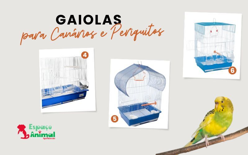 infográfico sobre gaiolas para pássaros com modelos de gaiolas para canários e periquitos