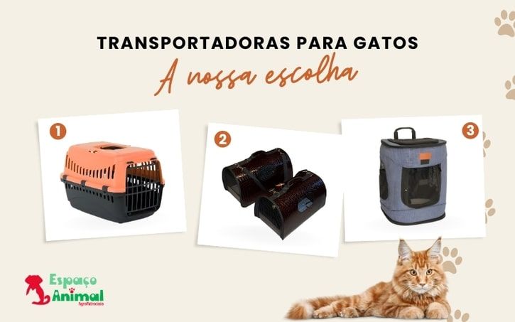 diferentes modelos de transportadoras para gatos
