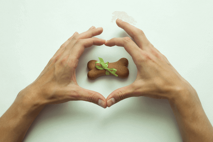 guia de biscoitos para cão