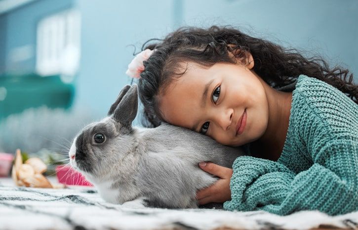 menina a segurar um coelho de estimação