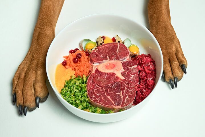 comida para cão com proteina