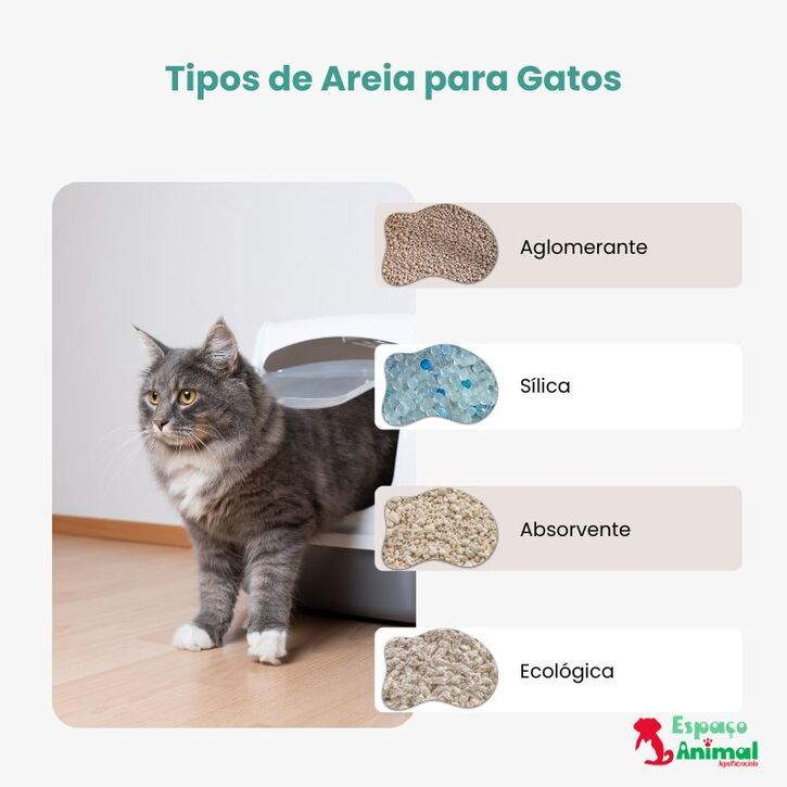 infográfico sobre os tipoos de areias para gatos