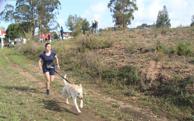 Espaço Animal