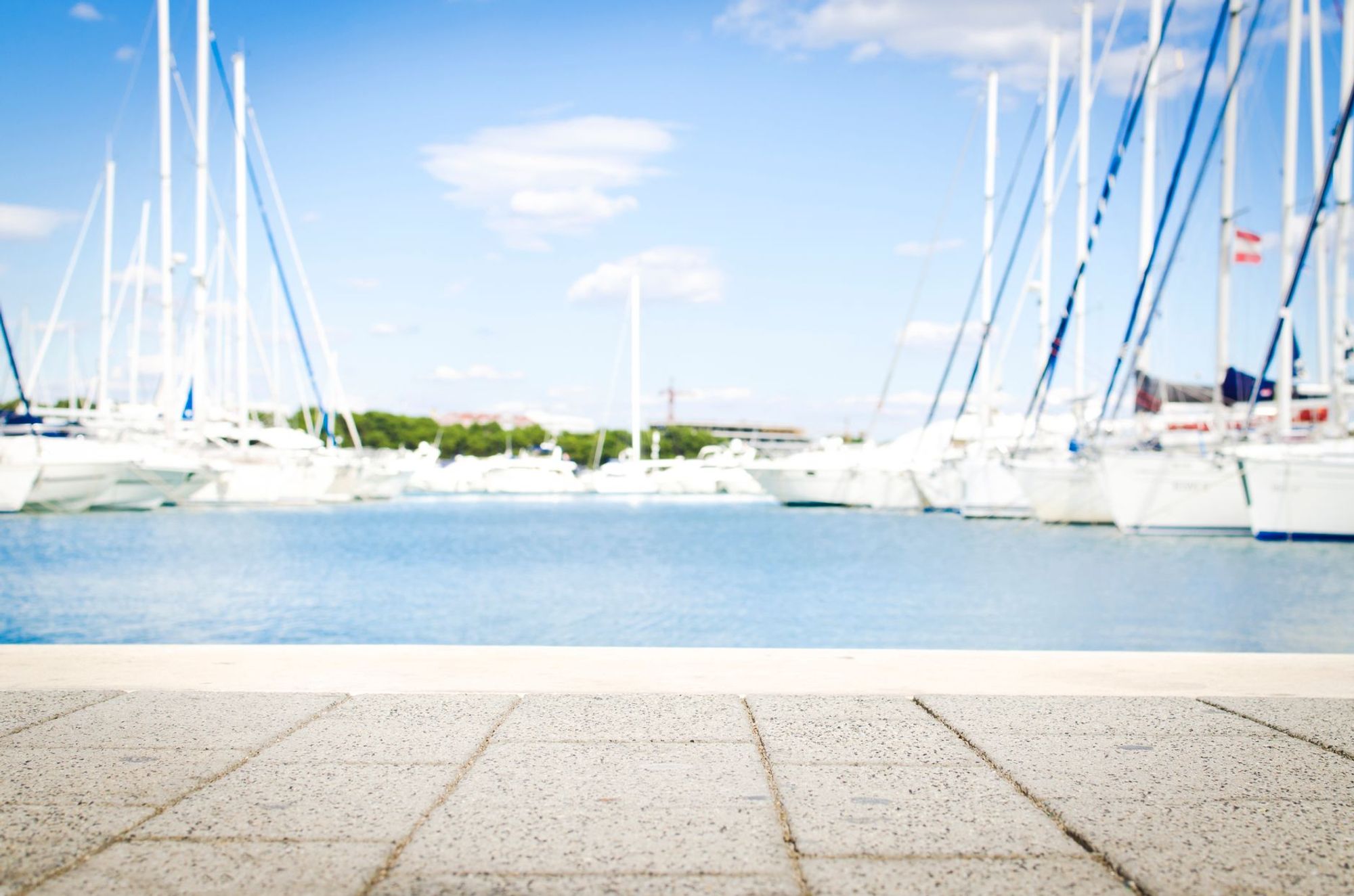 Sailing yachts moored in a marina