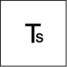 TrueState
