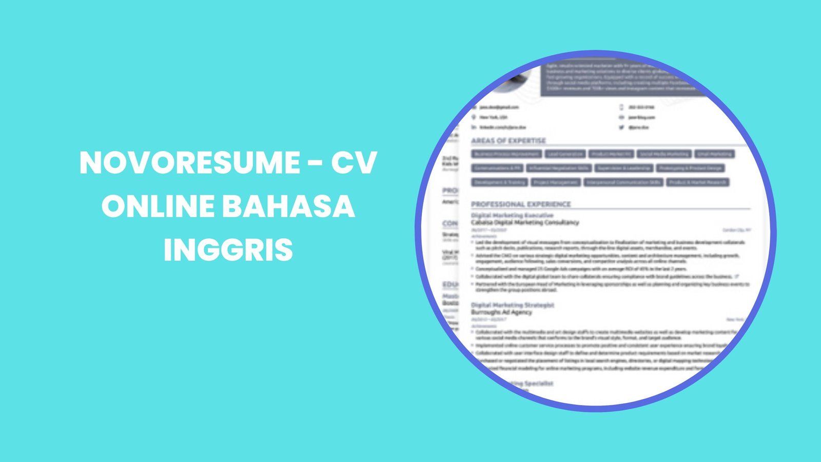 cara membuat cv menggunakan novoresume.com template inggris, mudah, dan gratis