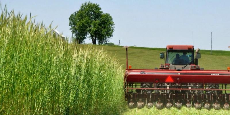 Save Big with Cryptocurrency Tax Loss Harvesting