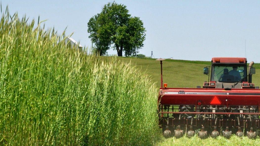 Save Big with Cryptocurrency Tax Loss Harvesting