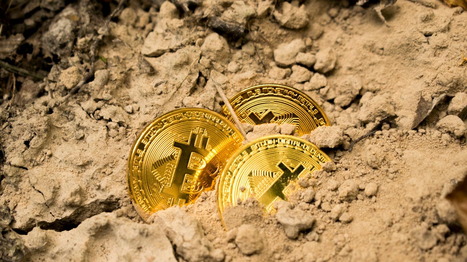 The Puerto Rico Crypto Tax Loophole