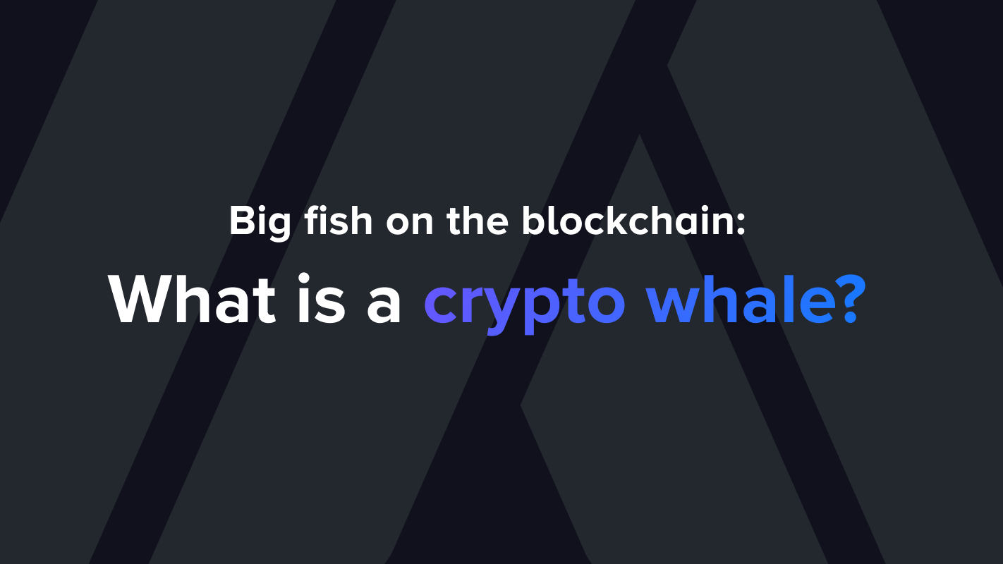 Big fish on the blockchain: What is a crypto whale?