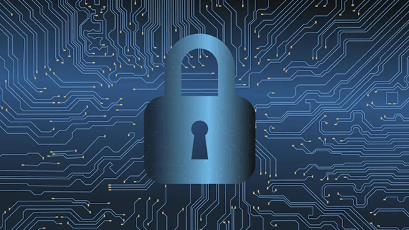 The different types of crypto wallets: Explanations and recommendations