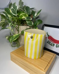 Stripes Freddo - view 3