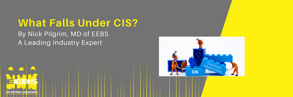 What Falls Under CIS? | EEBS