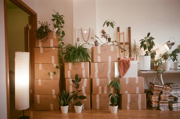 moving for work
