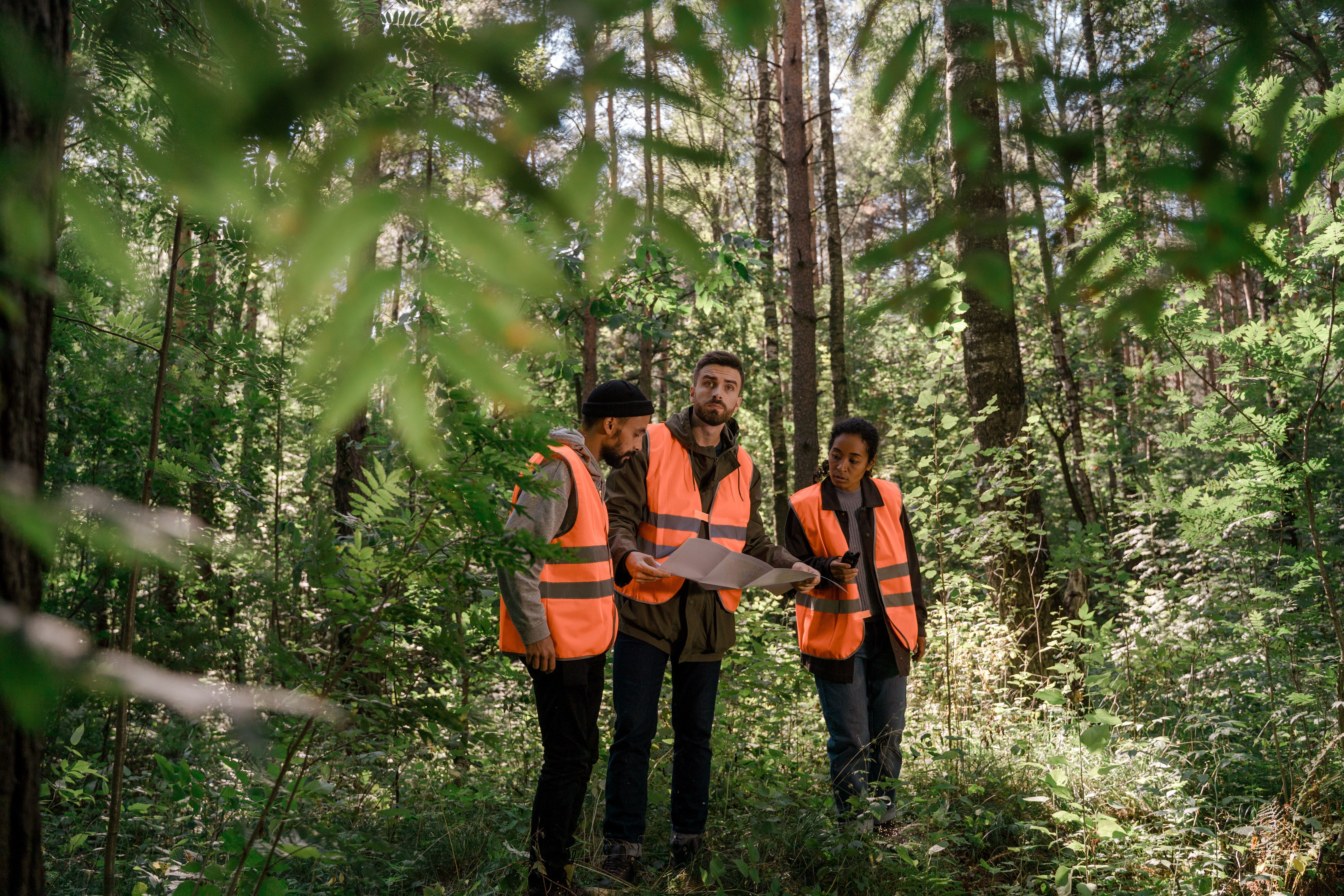 Forestry Workers