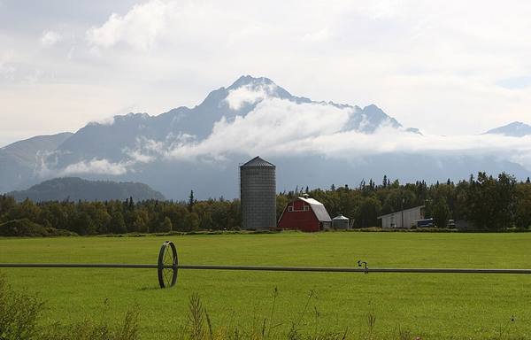 Mat-Su Valley AK