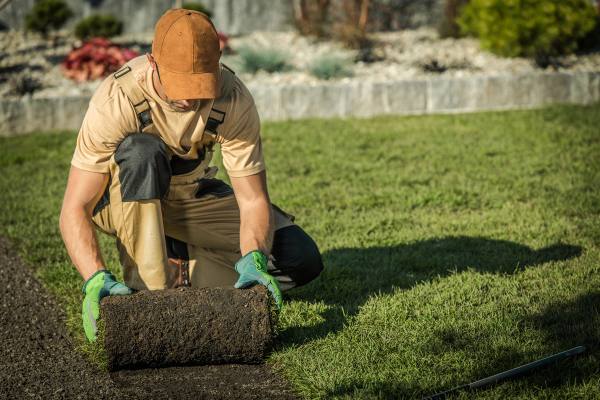 Landscaper laying sod
