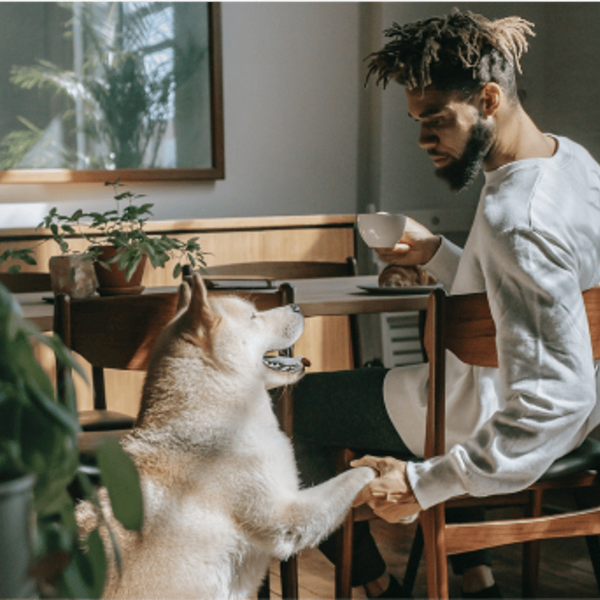 Apartment building for group housing of J-1 exchange visitors
