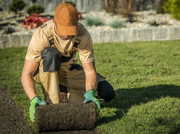 Seasonal agricultural workers outdoors