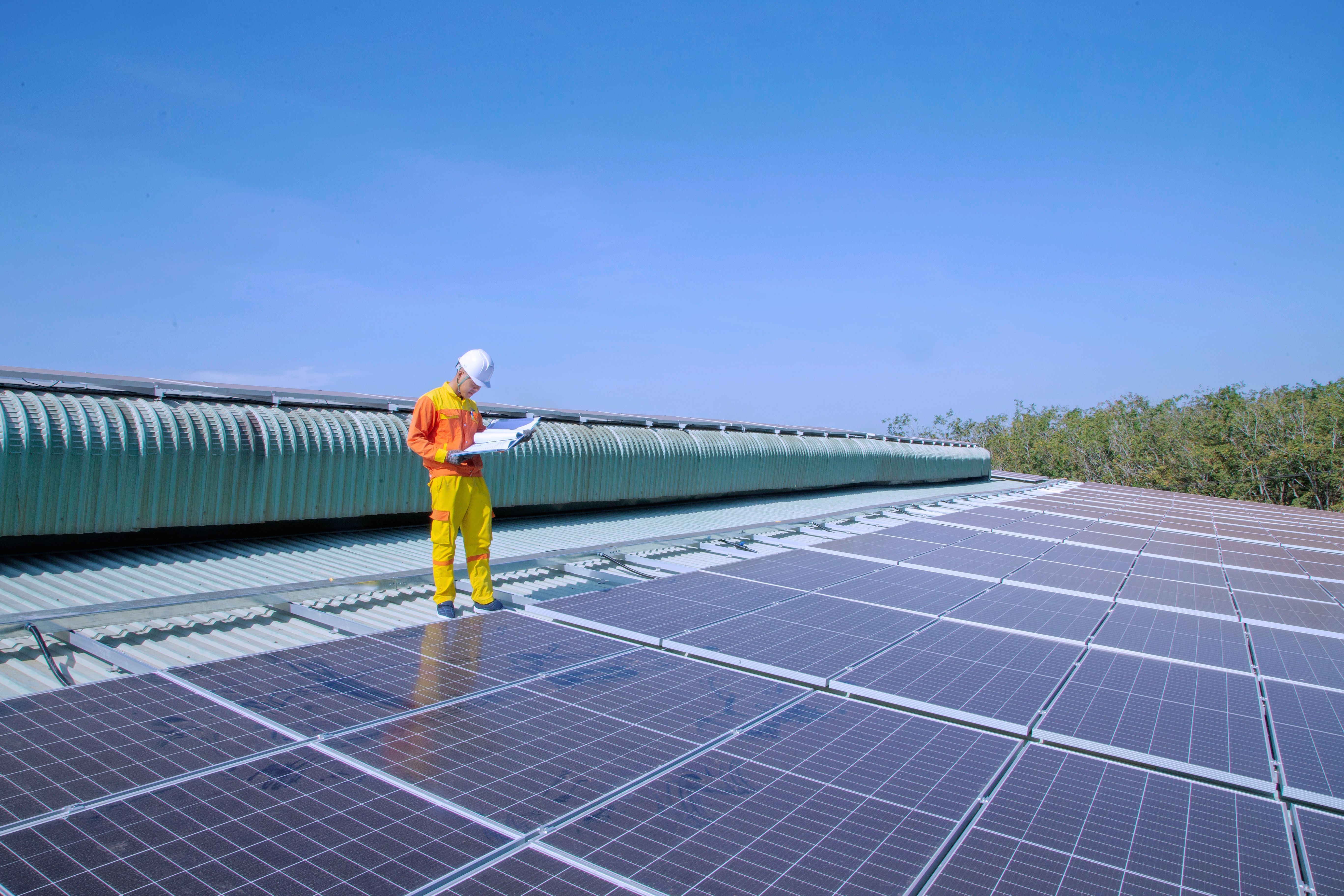 Solar farm worker