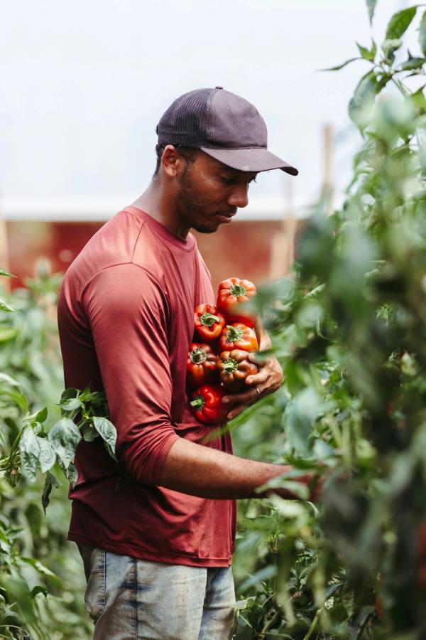 Agriculture