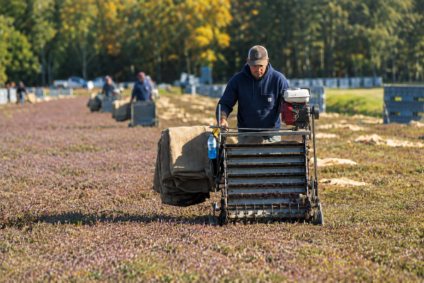 Agriculture worker