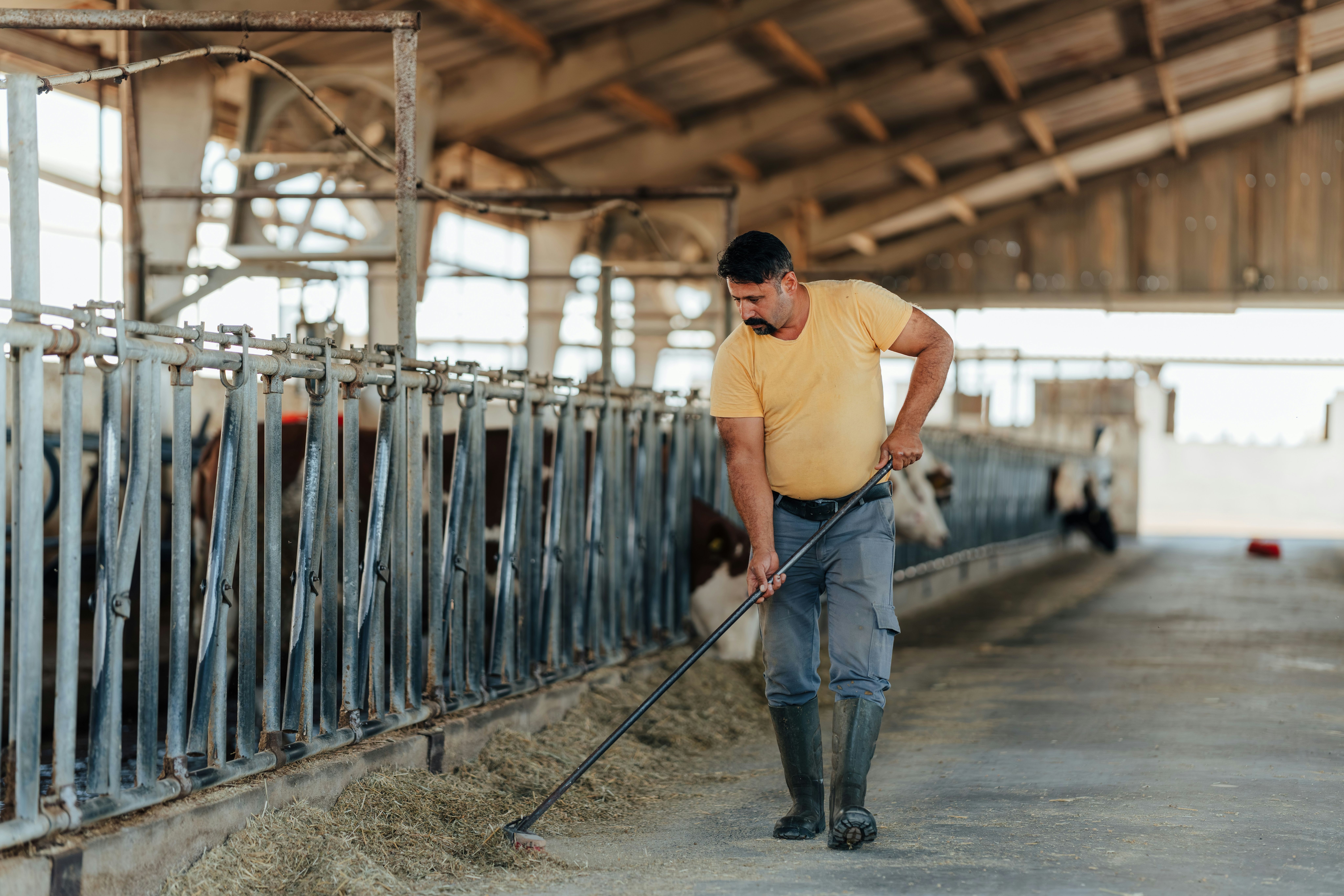 Dairy worker