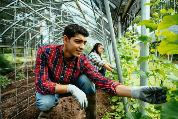 Agriculture team working together