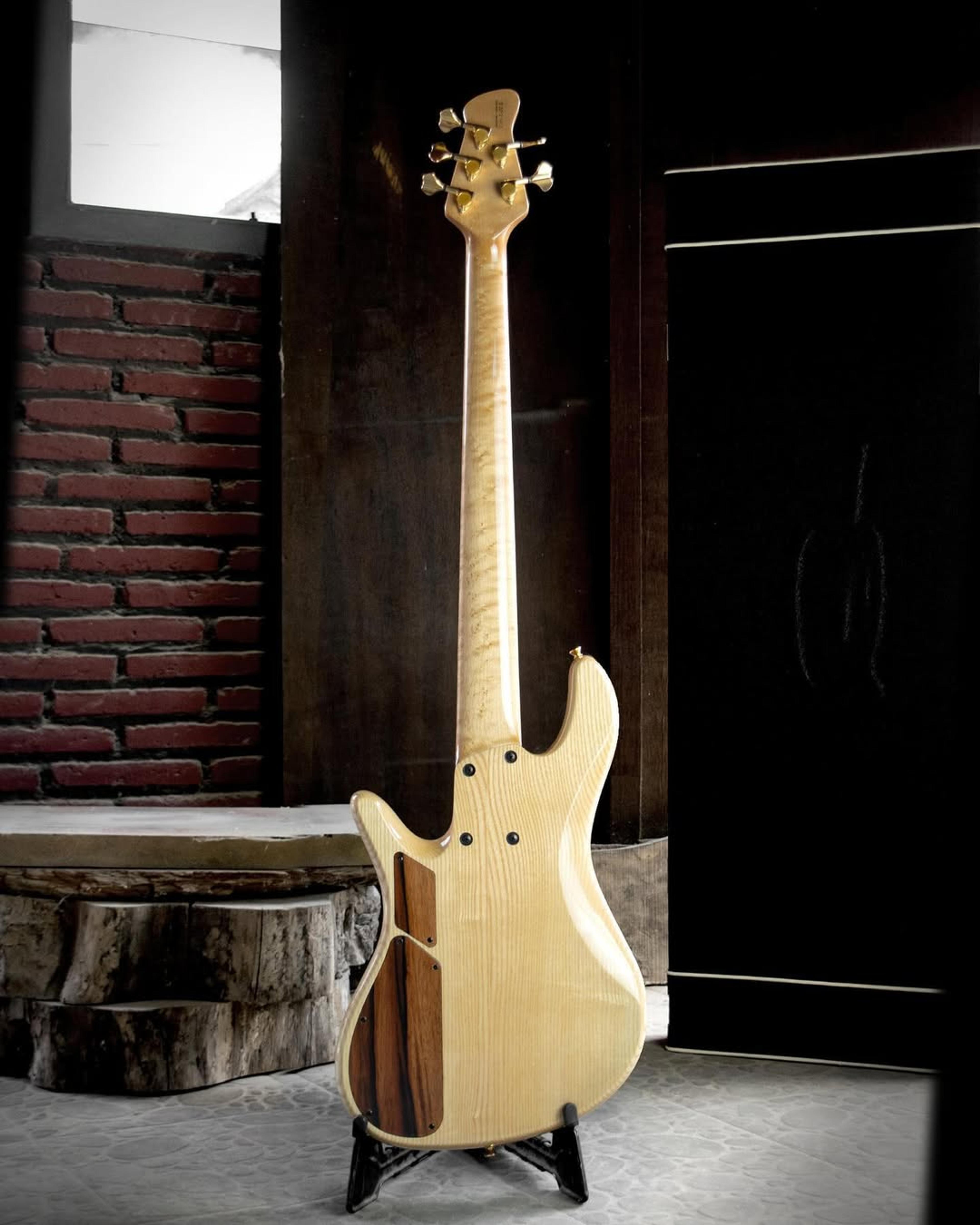 Full Back front view of the ODIENG INZ 5 string bass