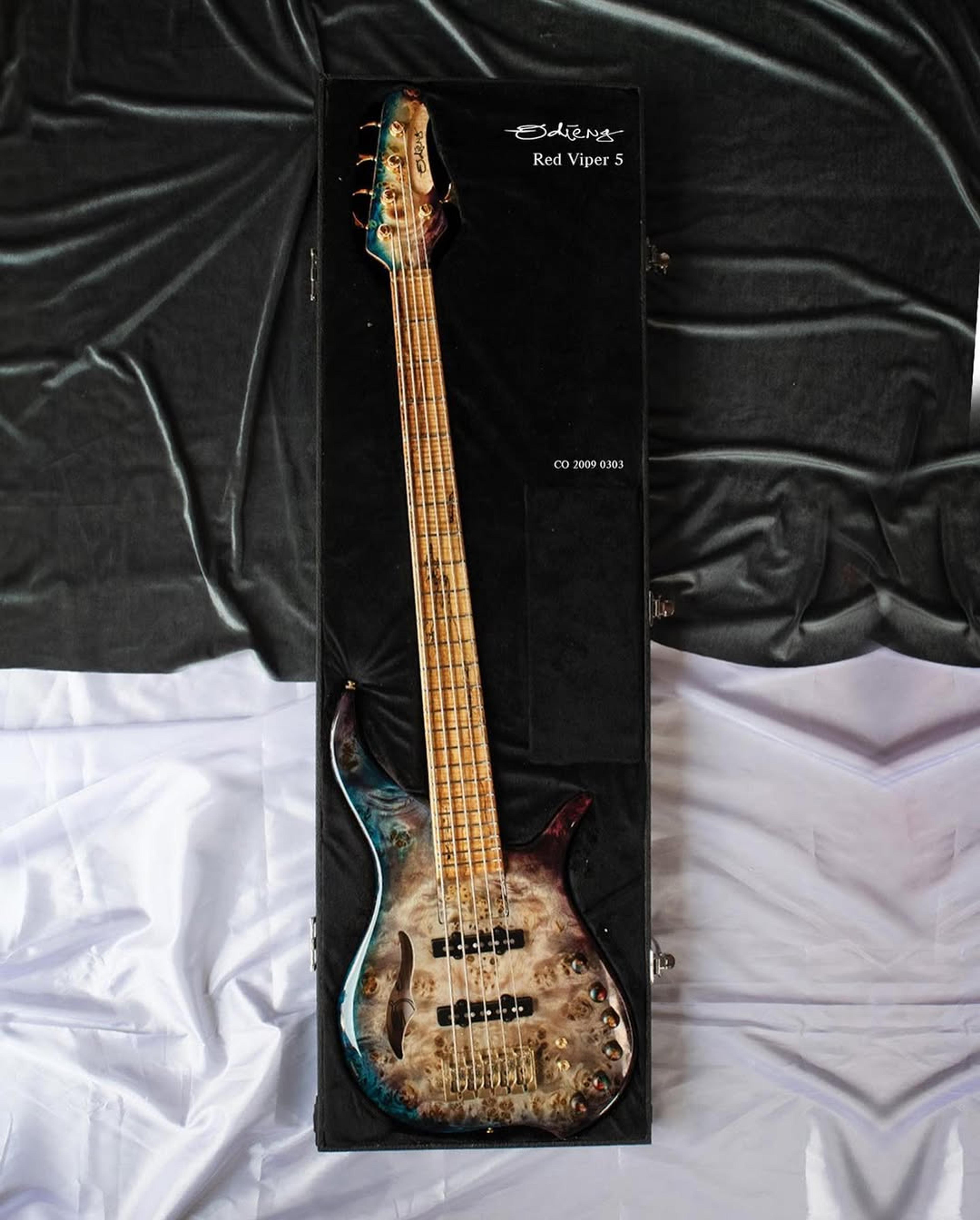 Full front view of the ODIENG Viper 5 string bass